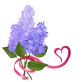 Twig blossoming lilac with a ribbon