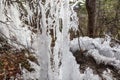 Twig or Branch of a Tree deep frozen under a glassy clear tranparent ice shield or coat with icicles in cold winter Royalty Free Stock Photo