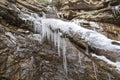 Twig or Branch of a Tree deep frozen under a glassy clear tranparent ice shield or coat with icicles in cold winter Royalty Free Stock Photo