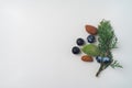 Twig of evergreen juniper with five blue old berries, three almonds nut, in springtime isolated on white textured paper. Copy Royalty Free Stock Photo