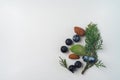 Twig of evergreen juniper with seven blue old berries, three almonds nut, in springtime isolated on white textured paper. Royalty Free Stock Photo