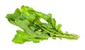 twig of fresh caucasian garden cress (tsitsmati