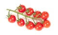 Twig of fresh cherry tomato on white Royalty Free Stock Photo