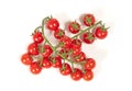 Twig of fresh cherry tomato on white Royalty Free Stock Photo