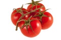 Twig of fresh tomato isolated on white background, clipping path Royalty Free Stock Photo