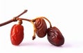 Twig of fruit of a dates - white background