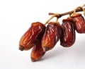 Twig of fruit of a dates - white background