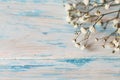 Twig Gypsophila of small white flowers close-up on blue shabby wooden background.