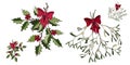Twig of holly with red berries and Mistletoe twig pattern. New Year holiday celebration in December.