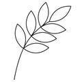 Twig with leaves. Sketch. Vector illustration. Colorless plant. Leaves on the stem. Coloring book for children. Doodle style.