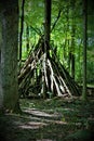 Twig Tepee Royalty Free Stock Photo
