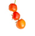 Twig with three red ripe tomatoes on a white background, isolate. Natural vegetables grown in the garden