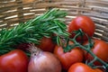 Twig with tomatoes, onions, and rosemary in a wicker basket. Royalty Free Stock Photo