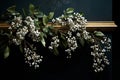 a twig of white mistletoe on a black background