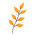 Twig with yellow leaves isolated on white background Royalty Free Stock Photo