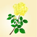 Twig yellow rose stem with leaves and bud vector