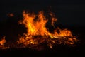 Twigs burning at park in thailand disaster in bush forest with fire spreading in dry woods. Royalty Free Stock Photo