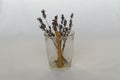 Twigs with dried lavender flowers with a wax church candle in a glass transparent glass on a white background Royalty Free Stock Photo