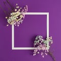 Twigs of flowers with white frame, creative copy space on purple background. Minimal love concept. Flat lay Royalty Free Stock Photo