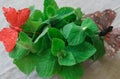 Twigs of fresh mint, cooked for tea, together with a dacor made of butterflies Royalty Free Stock Photo