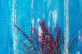 Twigs of Lavender Flowers on blue painted rustic wood background. Greeting card poster template for Easter Mother`s Day