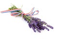 Twigs lavender with ribbon Royalty Free Stock Photo