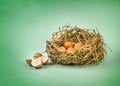 Twigs nest with brown chicken eggs with broken and empty shell e