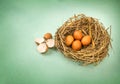 Twigs nest with brown chicken eggs with broken and empty shell e