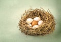Twigs nest with white egg and one of different or unique