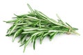 Twigs of rosemary