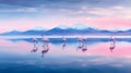 Twilight Ballet: Flamingos at Salar de Uyuni