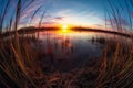 Twilight at Cattail Marshland