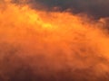 Twilight and cloud photo with the palms in the Samroi yod, Thailand Decemebr 30, 2018