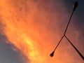 Twilight and cloud photo with street lamps in the Samroi yod, Thailand Decemebr 30, 2018