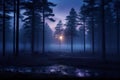 Twilight, the foggy pine forests are nature\'s lullaby.