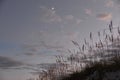 The moon shines over the island beach at twilight Royalty Free Stock Photo