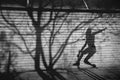 Twilight a man and tree shadow reflected on the wall. Royalty Free Stock Photo