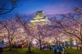 Twilight at Osaka castle during Cherry blossoms season Royalty Free Stock Photo