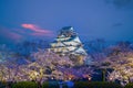 Twilight at Osaka castle during Cherry blossoms season Royalty Free Stock Photo