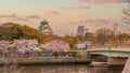 Twilight at Osaka castle during Cherry blossoms season Royalty Free Stock Photo