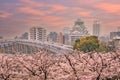 Twilight at Osaka castle during Cherry blossoms season Royalty Free Stock Photo