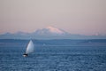 Twilight sailing in Puget Sound Royalty Free Stock Photo