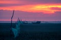 Twilight scene on a green grass beach