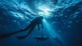 Twilight shot of marine biologist swimming with dolphins in high quality underwater scene