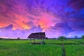 the twilight sky above the rice fields