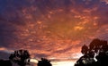 Twilight sky background over the forest in the countryside of Thailand. Royalty Free Stock Photo