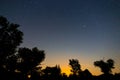 Twilight starry sky above a forest silhouette