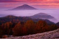 Twilight sunrise, pink and violet landscape. Czech typical autumn landscape. Hills and forest with foggy morning. Morning fall Royalty Free Stock Photo