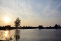 Twilight at sunset time with rice fields and Ciconiiformes Bird in Nonthaburi Thailand Royalty Free Stock Photo