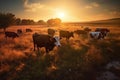 Twilight transforms the grazing cows into enchanting shadows against the sunset